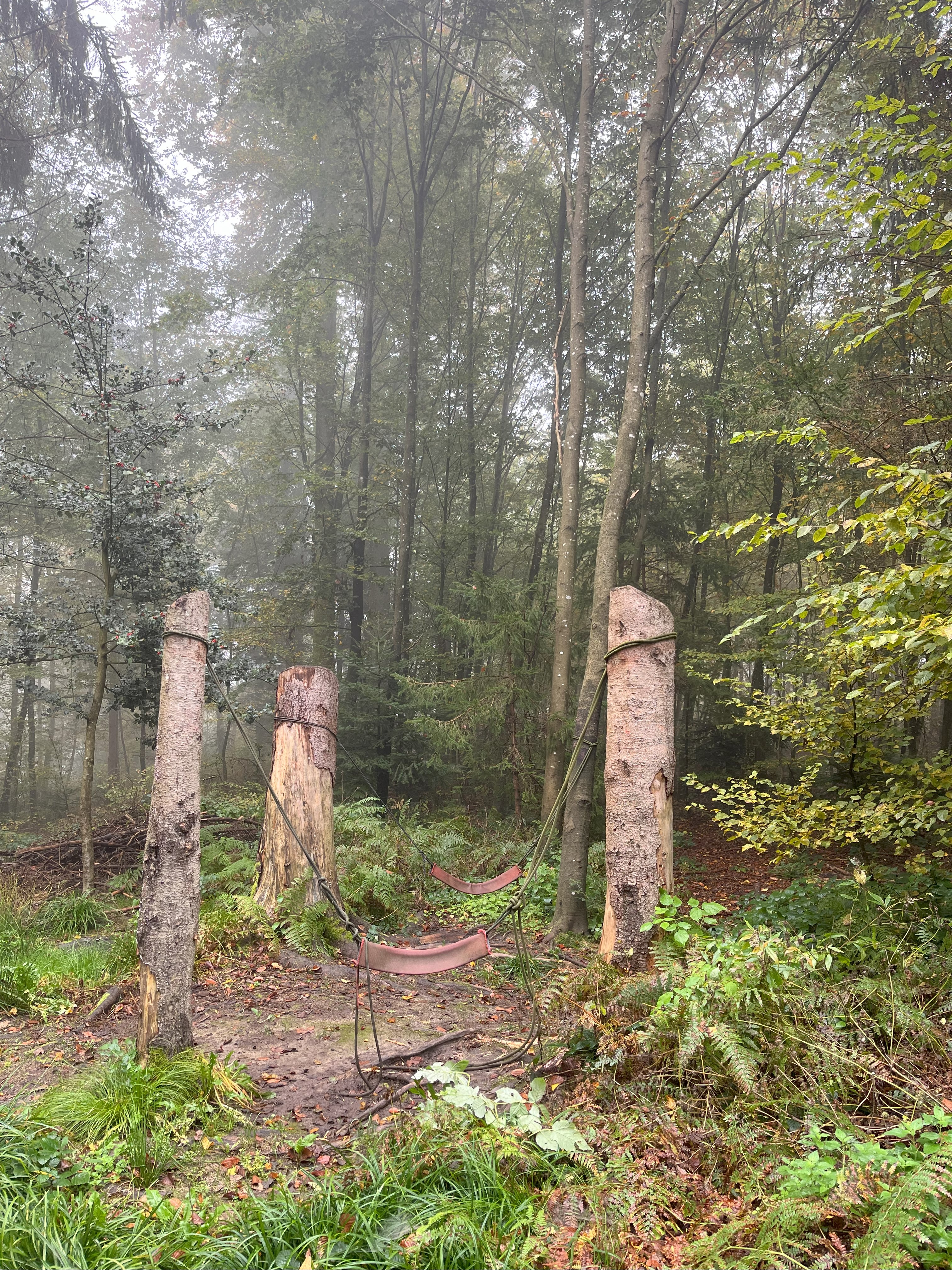 Schaukel am Waldsofa Platz
